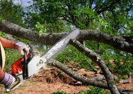 Best Weed Control  in Berkley, MI